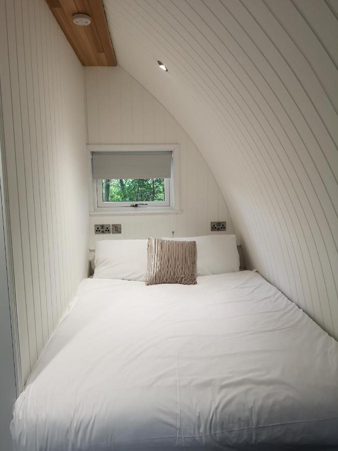 The Pod-Hot Tub-Woodland Lodges-St Clears-Carmarthen Exteriör bild