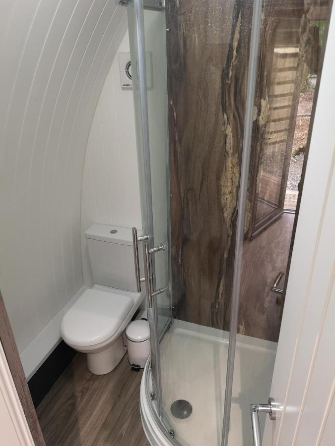 The Pod-Hot Tub-Woodland Lodges-St Clears-Carmarthen Exteriör bild