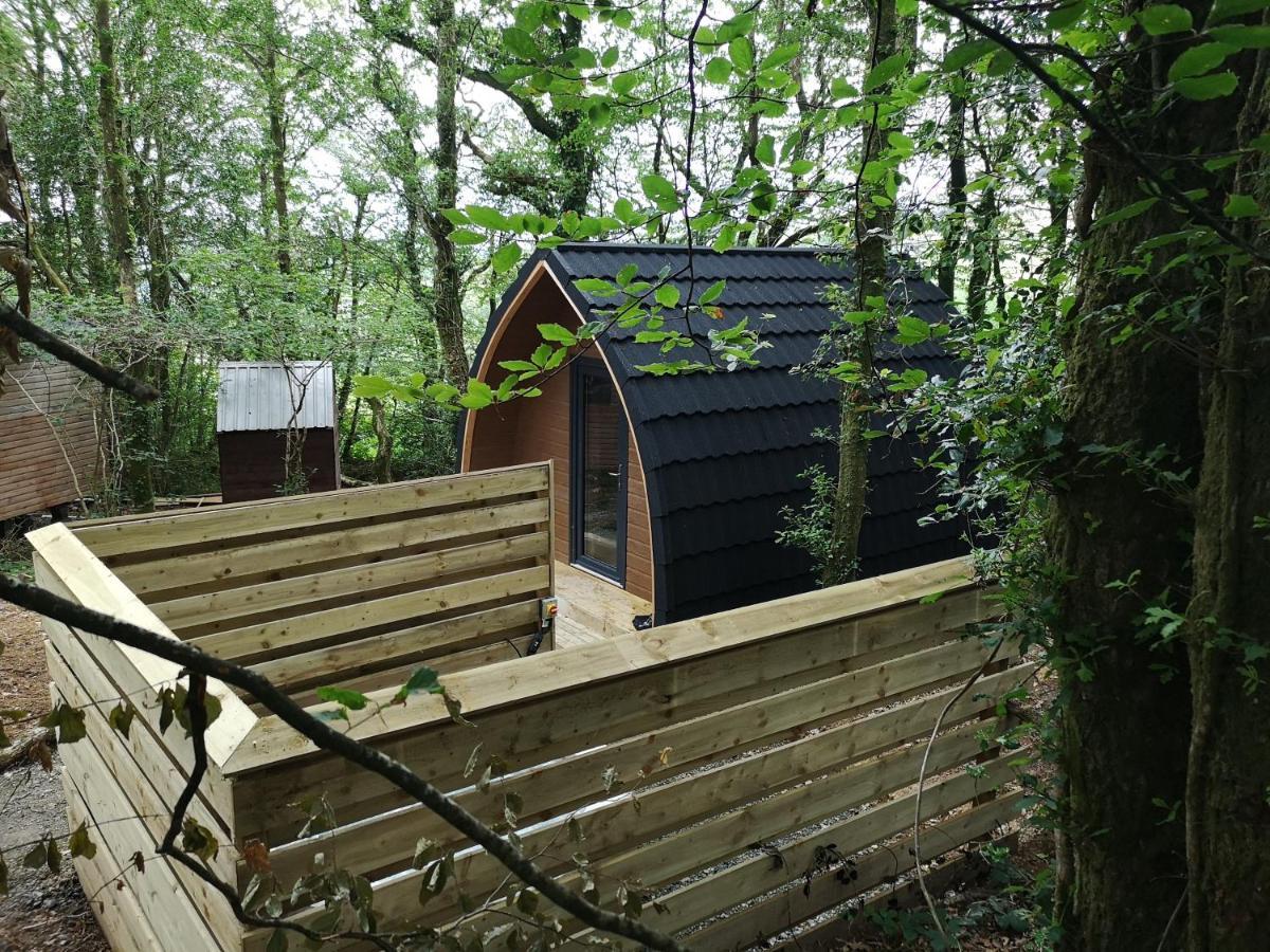 The Pod-Hot Tub-Woodland Lodges-St Clears-Carmarthen Exteriör bild