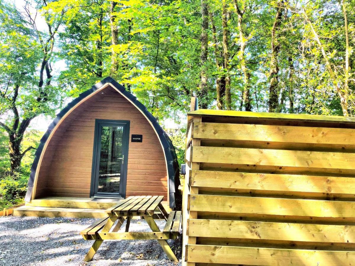 The Pod-Hot Tub-Woodland Lodges-St Clears-Carmarthen Exteriör bild